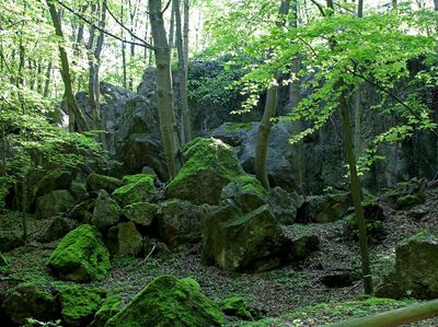 Felsenmeer, mit Moos bewachsene Steine