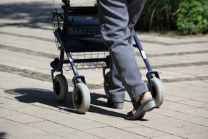 Der Eintritt zum Hemeraner Rollatortag ist kostenfrei. Der Eintritt zum Hemeraner Rollatortag ist kostenfrei.