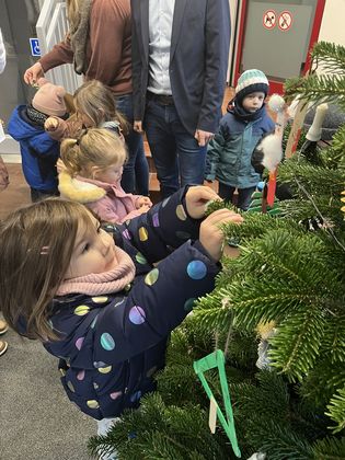 Kleine Bären, großer Baum