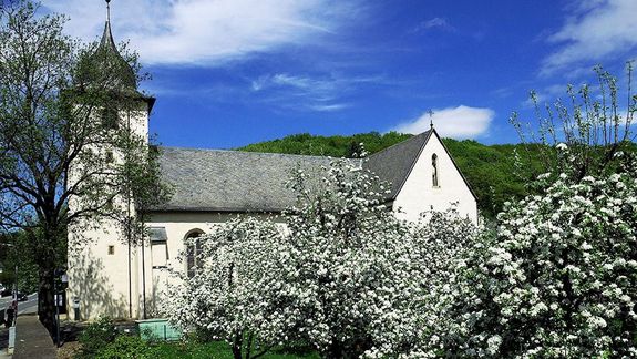 Kirche St. Peter und Paul  im Frühling hinter weißblühenden Büschen