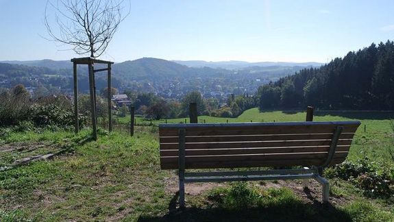 Blick auf das Hönntal vom Balverwald