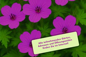 Offene Gärten im Ruhrbogen 2026