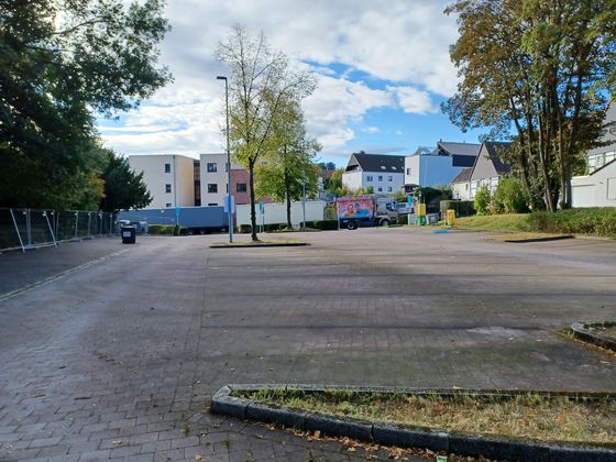 Für die Vorbereitung der Parkplatzsanierung müssen zwei Linden gefällt werden.