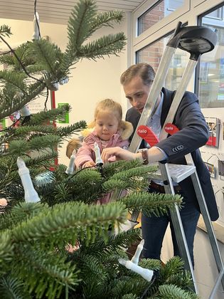 Kleine Bären, großer Baum