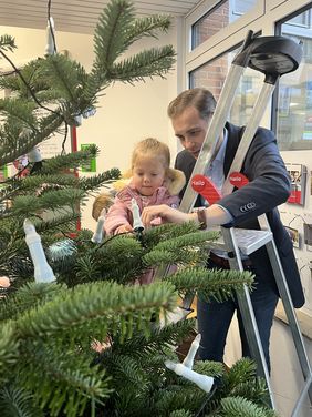 Kleine Bären, großer Baum