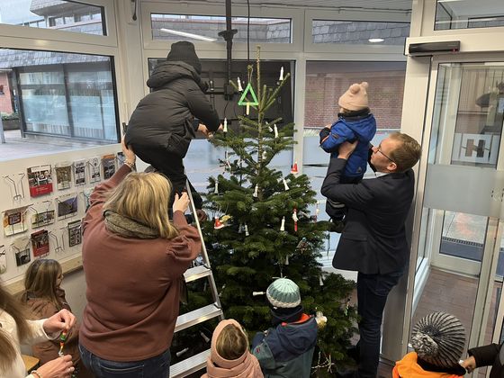 Kleine Bären, großer Baum