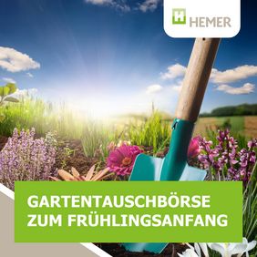 Der Frühling steht vor der Tür – und damit beginnt auch wieder die Gartensaison. 