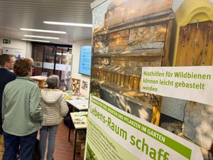 Unter dem Titel „Stadtnatur und Insekten“ informiert die Ausstellung über die Bedeutung naturnaher Lebensräume in der Stadt und lädt Bürgerinnen und Bürger zum Mitmachen ein.
