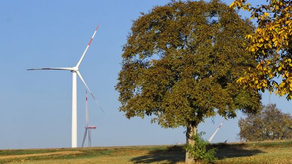 Windrad hinter einer Wiese mit Bäumen