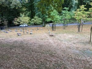 Einbruch und Vandalismus am Waldfriedhof