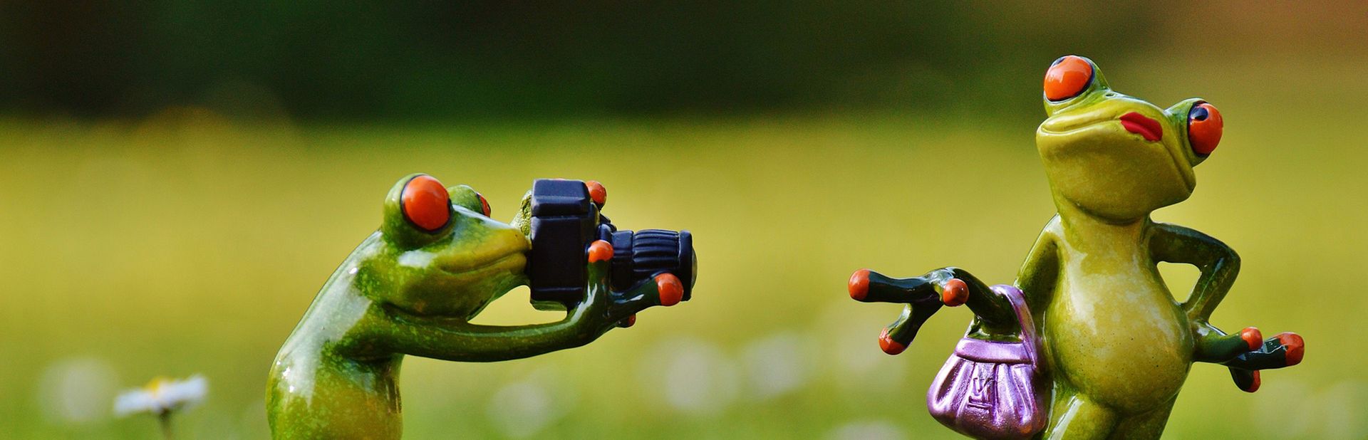 Frosch fotografiert ein Froschweibchen