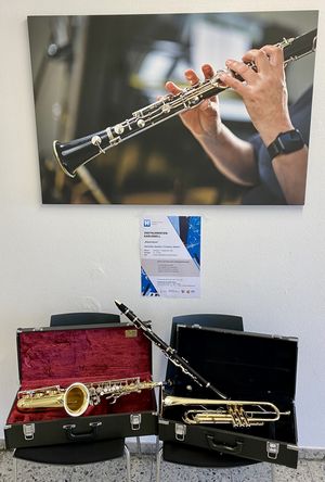 Zum fünften Instrumentenkarussell „Bläserträume“ lädt die Musikschule der Stadt ein