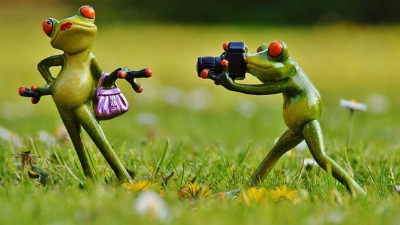 Frosch fotografiert ein Froschweibchen mit einer rosa Hantasche am Arm. Figuren aus Kunststoff.